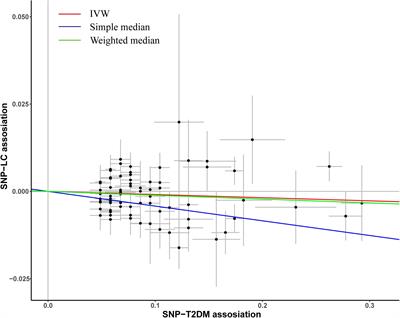 Investigation of Causal Effect of Type 2 Diabetes Mellitus on Lung Cancer: A Mendelian Randomization Study